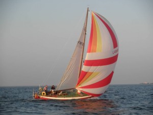 288-Casella II1