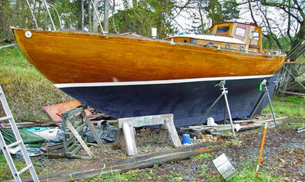 Calypso_600