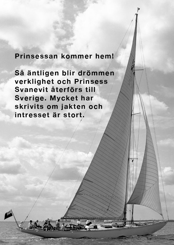 Svanevit-Solentwebb-2