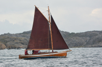 Albatross-sidan-bra