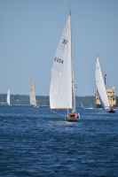 DSC_0018
