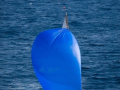 gc_Regates_Royales_2015_1707