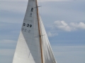 IBIS-2015