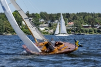 Pani2
