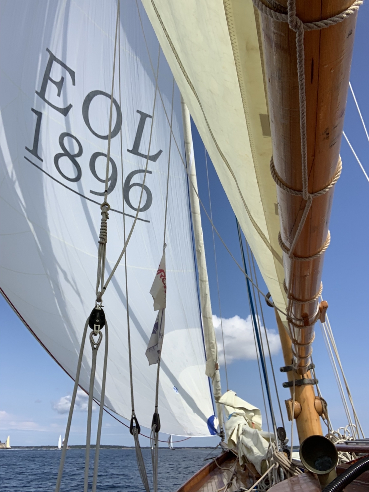 sailyacht society