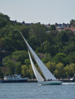 SvanevitSodermalm